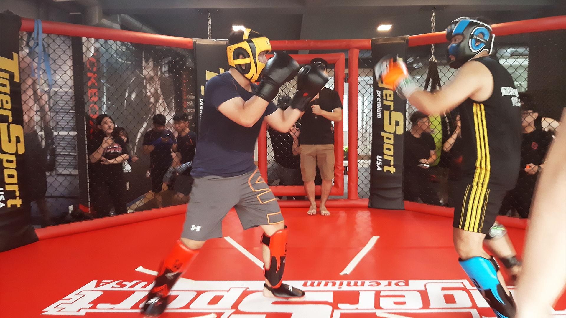 20191103_092731 20191103_092731