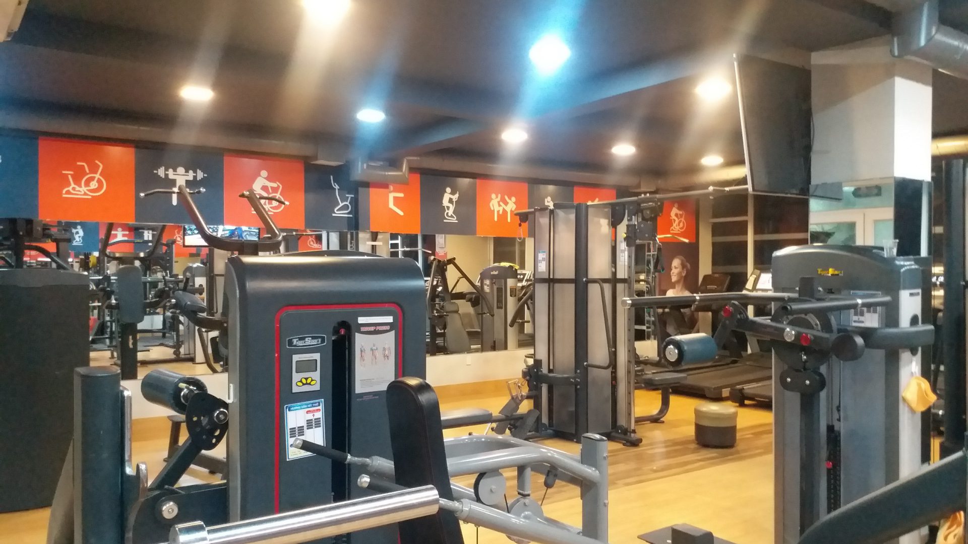 Gym Fitness Gymaster (10)