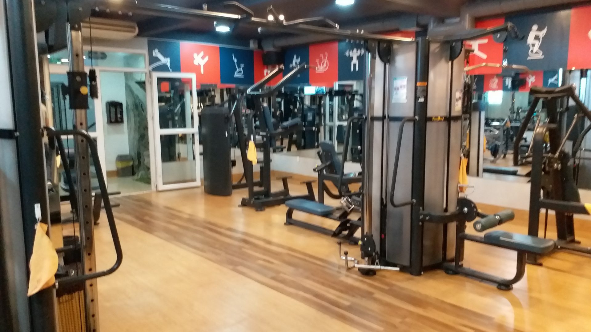 Gym Fitness Gymaster (2)