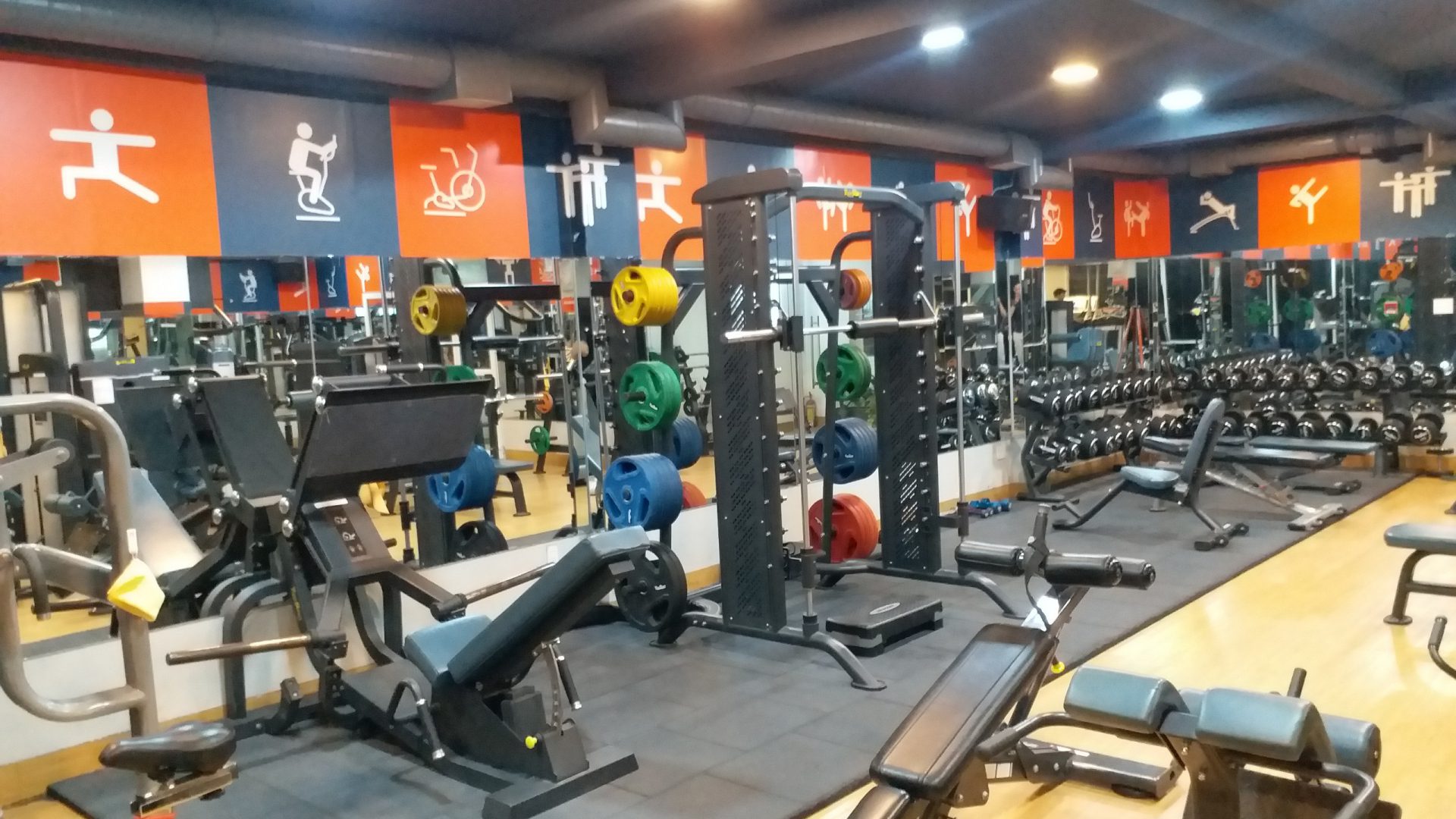 Gym Fitness Gymaster (4)