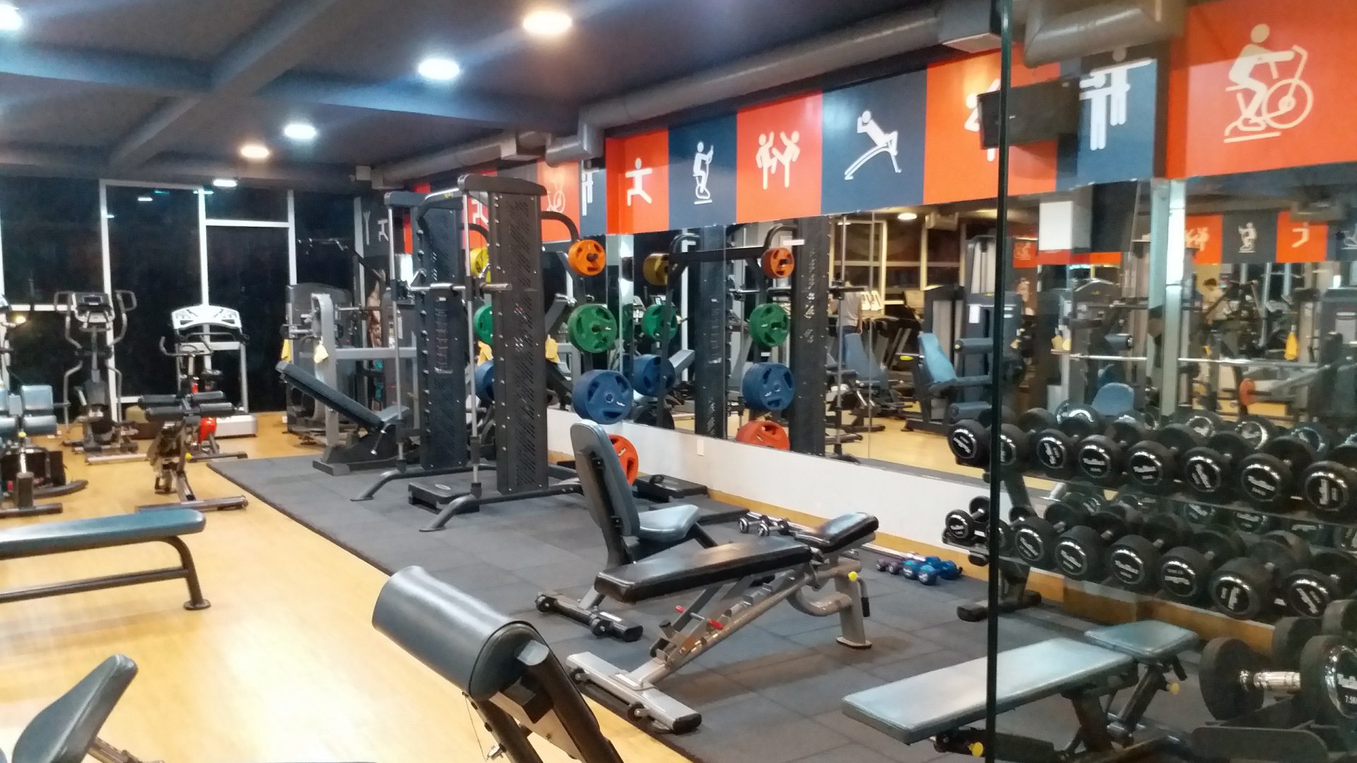 Gym Fitness Gymaster (7)