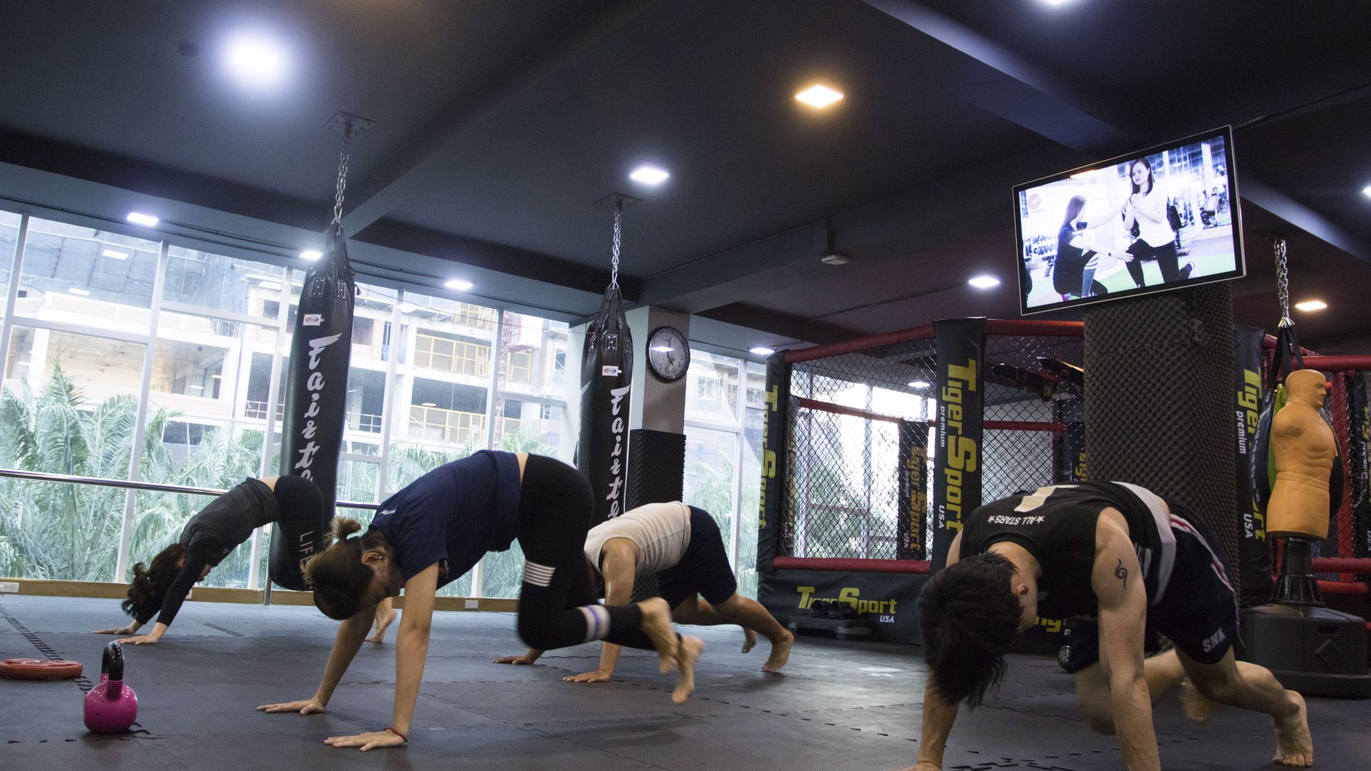 Gymaster Trung Tâm 5 (2) Gymaster Trung Tâm 5 (2)