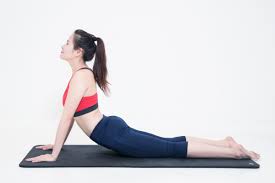 các tư thế yoga chữa đau lưng